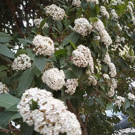 Sotto La Rocca Финале Лигуре